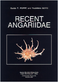 angaridae.jpg (50320 byte)