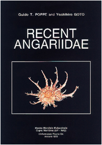 angaridae.jpg (50320 byte)
