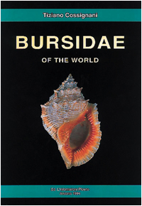 bursidae.jpg (51179 byte)