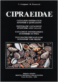 cypraeidae.jpg (65051 byte)