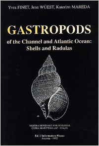 gastropods.jpg (55082 byte)